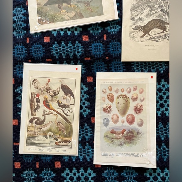 lot of 9 antique/vintage prints ready for framing - Picture 5 of 5